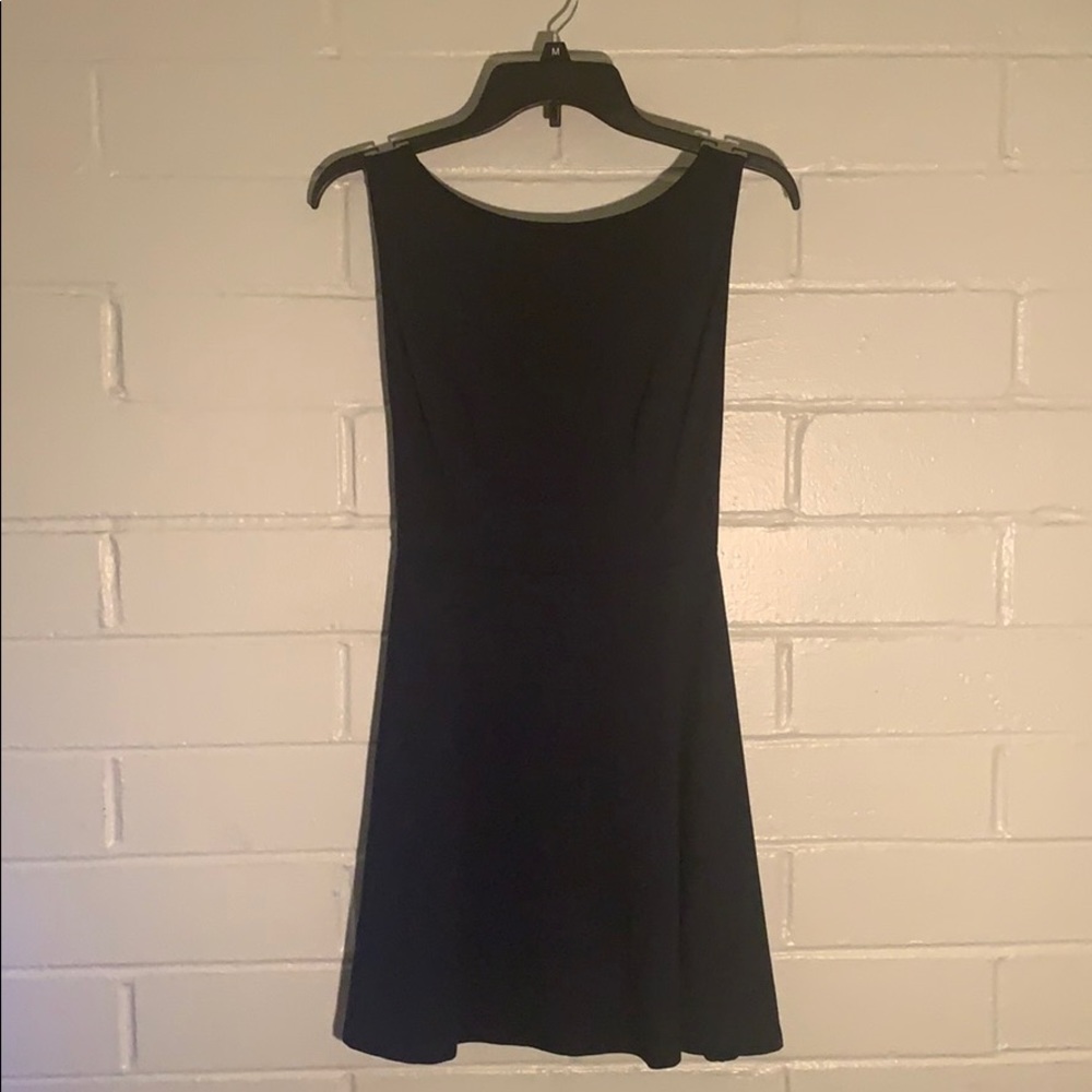 Ponte Sleveless Skater Dress American Apparel